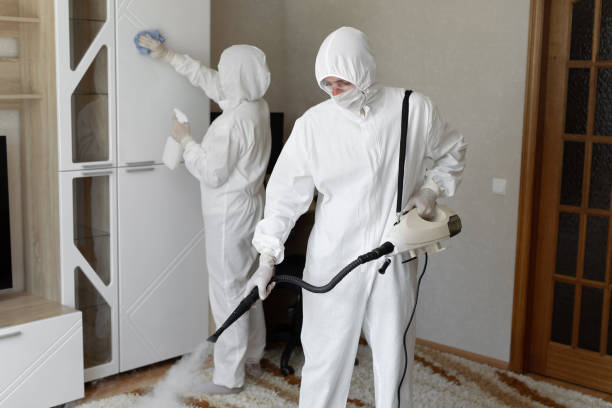 Mold Removal Process in Prospect Heights, IL